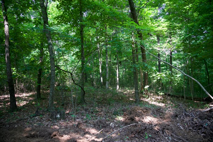 Benton County, TN image