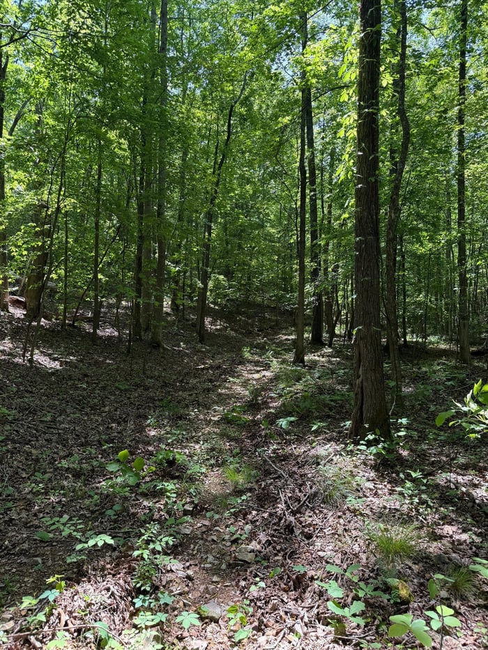 Benton County, TN image