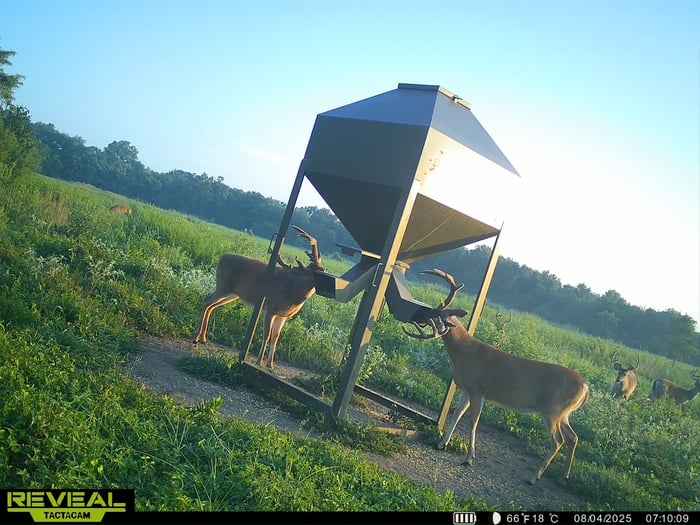 Elk County, KS image