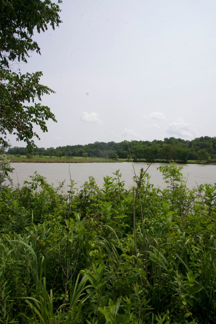 Hopkins Co, KY image
