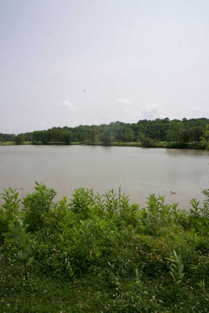 Hopkins Co, KY image