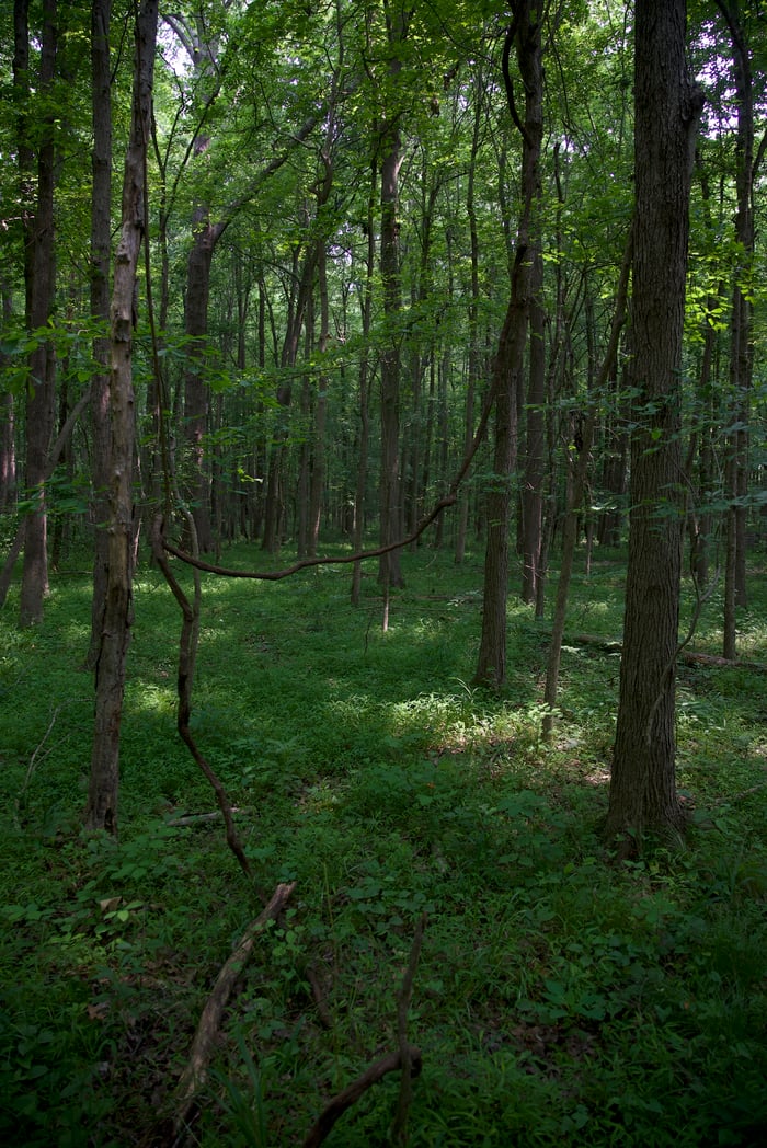 Benton County, TN image