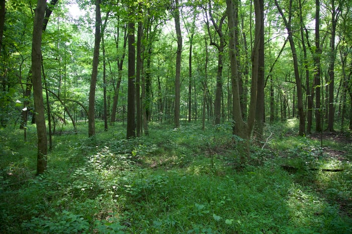 Hopkins Co, KY image